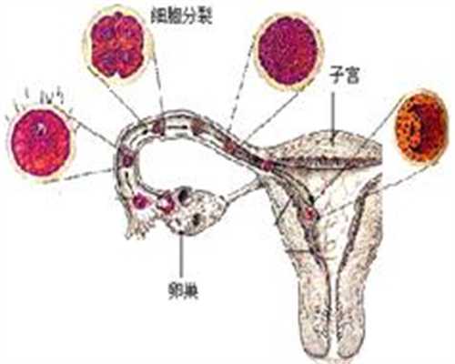 供卵代孕流程_代孕费用一览_代孕医院选性别